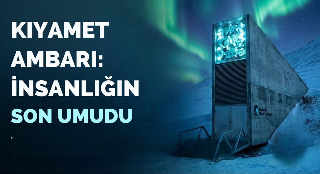 Buzulların Altındaki Nuh'un Gemisi