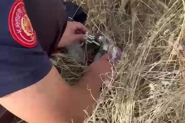 Kayseri'de kafası konserve kutusuna sıkışan kediyi itfaiye kurtardı