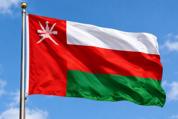 Sultan Heysem bin Tarık, İngiltere ile ülke ilişkilerini güçlendirmeyi hedefliyor