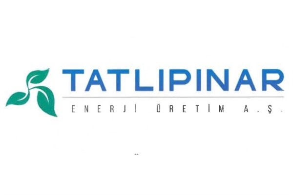 Tatlıpınar Enerji'nin TEİAŞ davası