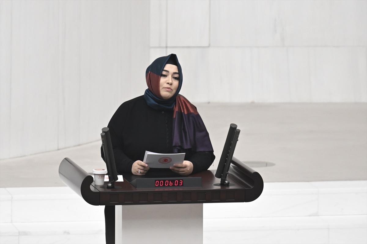 TBMM Genel Kurulu'nda 2026 yılı bütçesinin maddeleri görüşülüyor