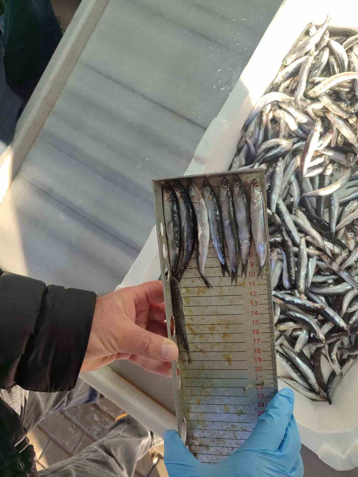 Balık tezgâhları yakın takipte
Balık tezgâhları yakın takipte