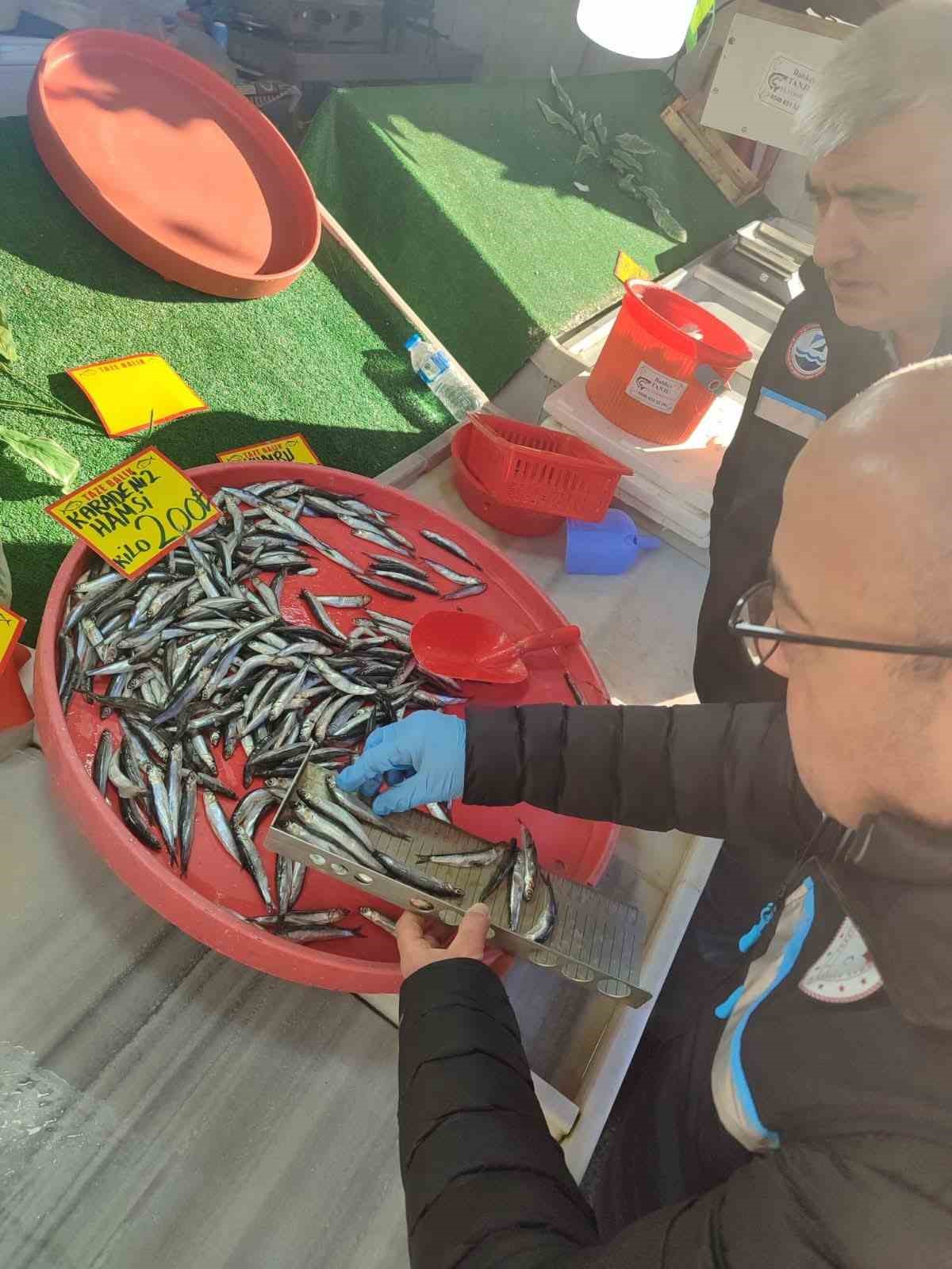 Balık tezgâhları yakın takipte
Balık tezgâhları yakın takipte