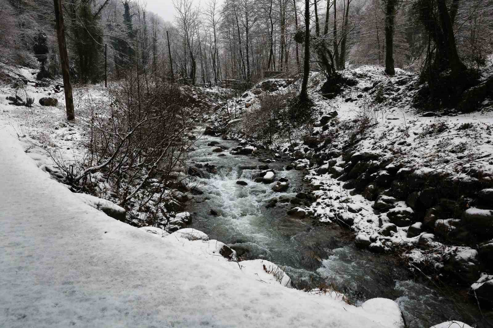Beyaz örtü Sapanca Gölü’nü besleyen derelere can oldu
