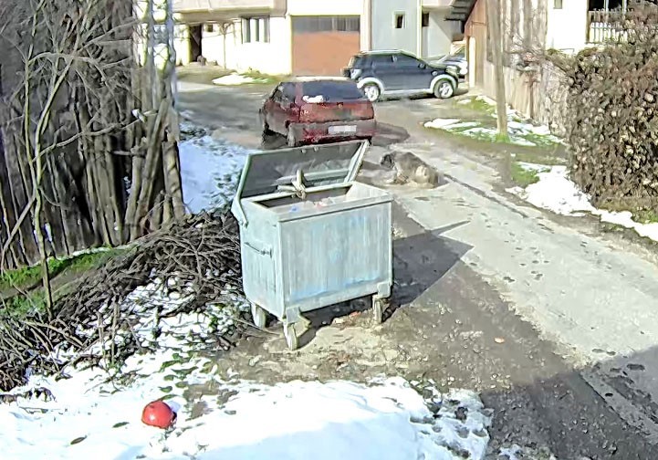 Bolu’da ezilen köpeğin röntgeninden 400 saçma çıktı:
