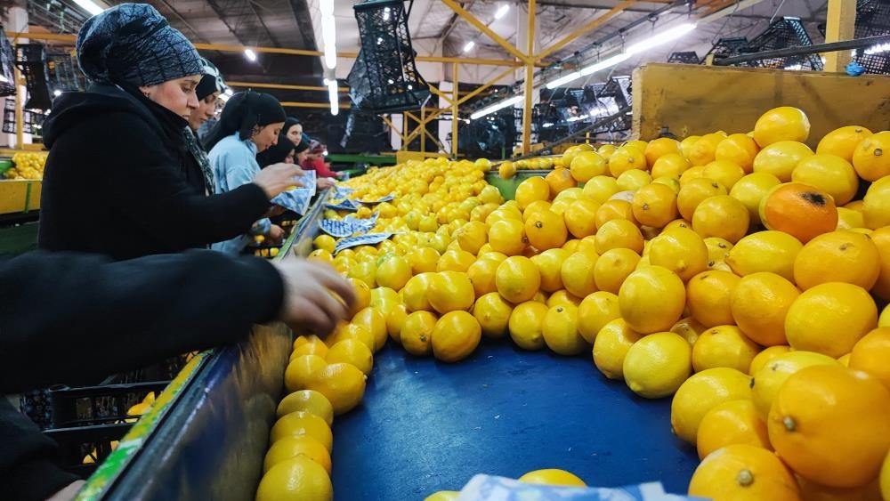 Grip vakaları artıyor; C vitaminini yanlış besinde aramayın
