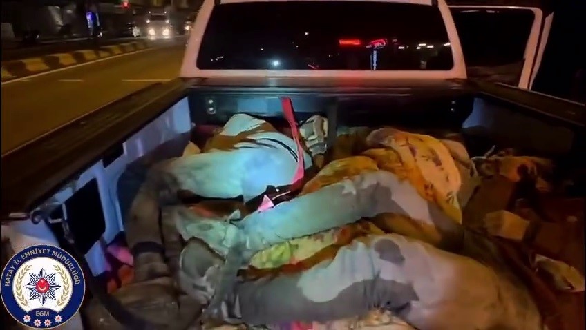Hatay’da 8 kaçak göçmen yakalandı, 2 organizatör tutuklandı

