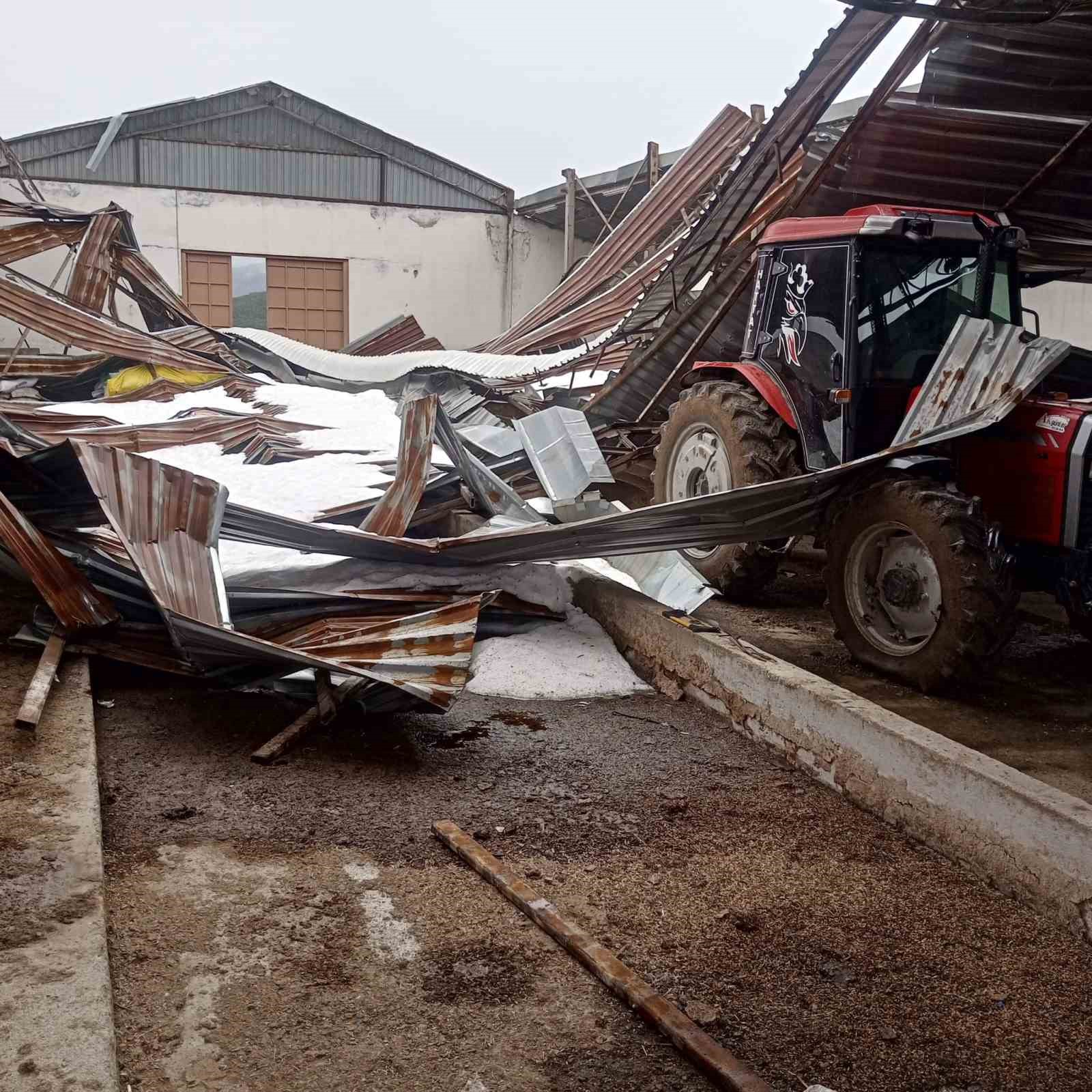 Kar birikintisi mandıra çatısını çökertti: 4 ton buğday zarar gördü

