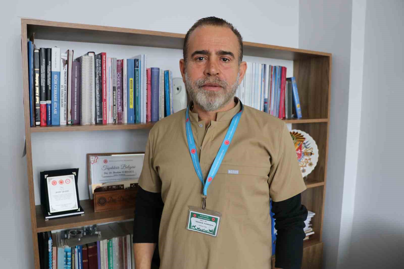 Kontrolsüz bırakılan gıdalar kurtların dengesini bozdu, kurtlar yerleşim yerlerine inmeye başladı
