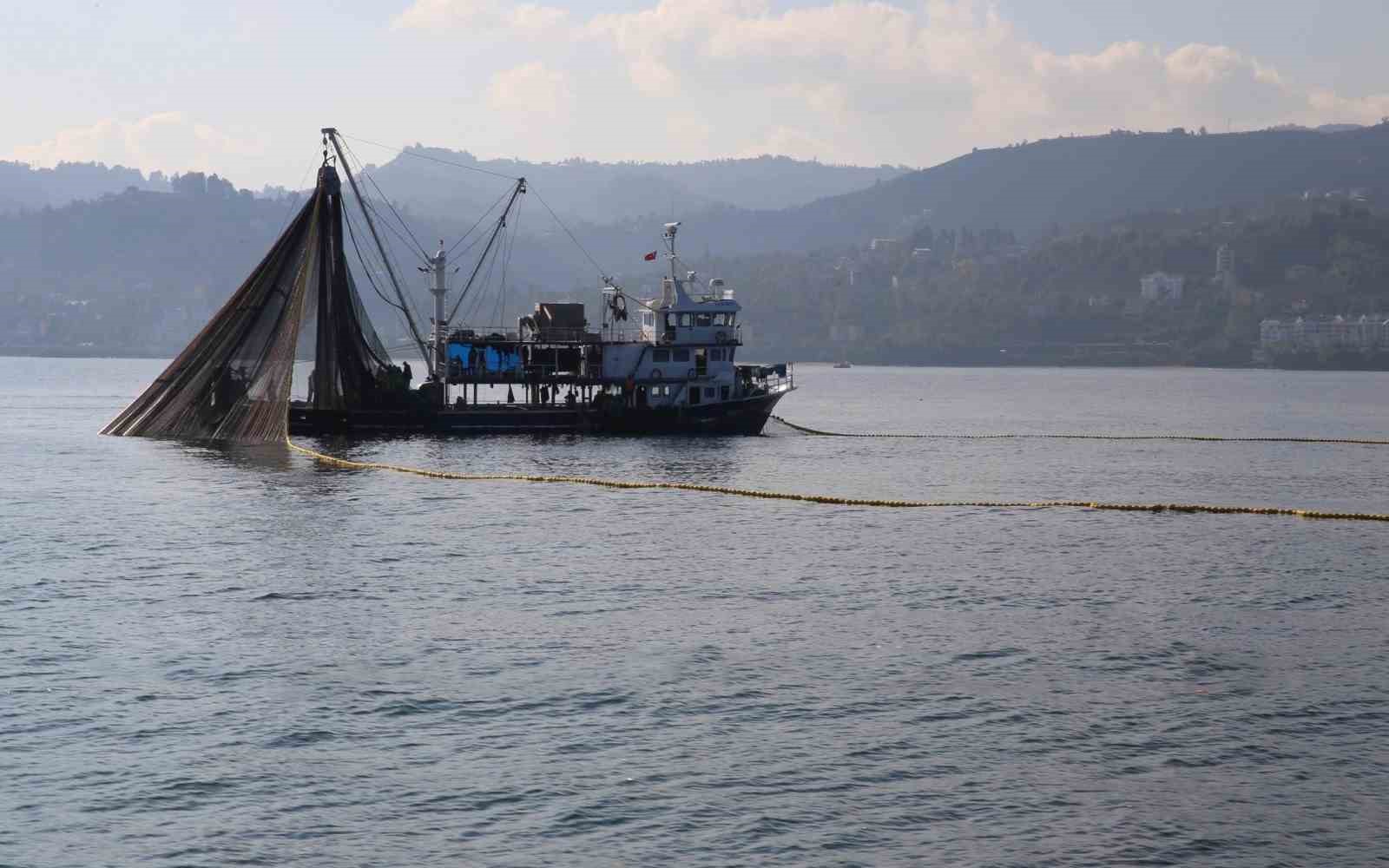 Kuşadası’nda dil ve pisi balığı avcılığına geçici yasak
