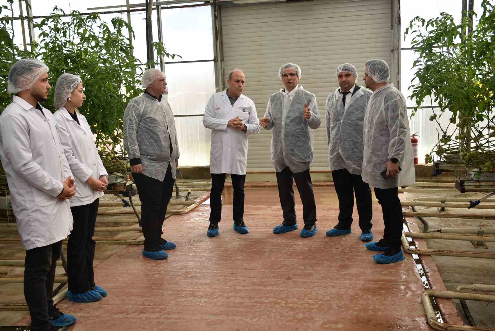 Modern sera yatırımları Salihli’de tarımı güçlendiriyor
