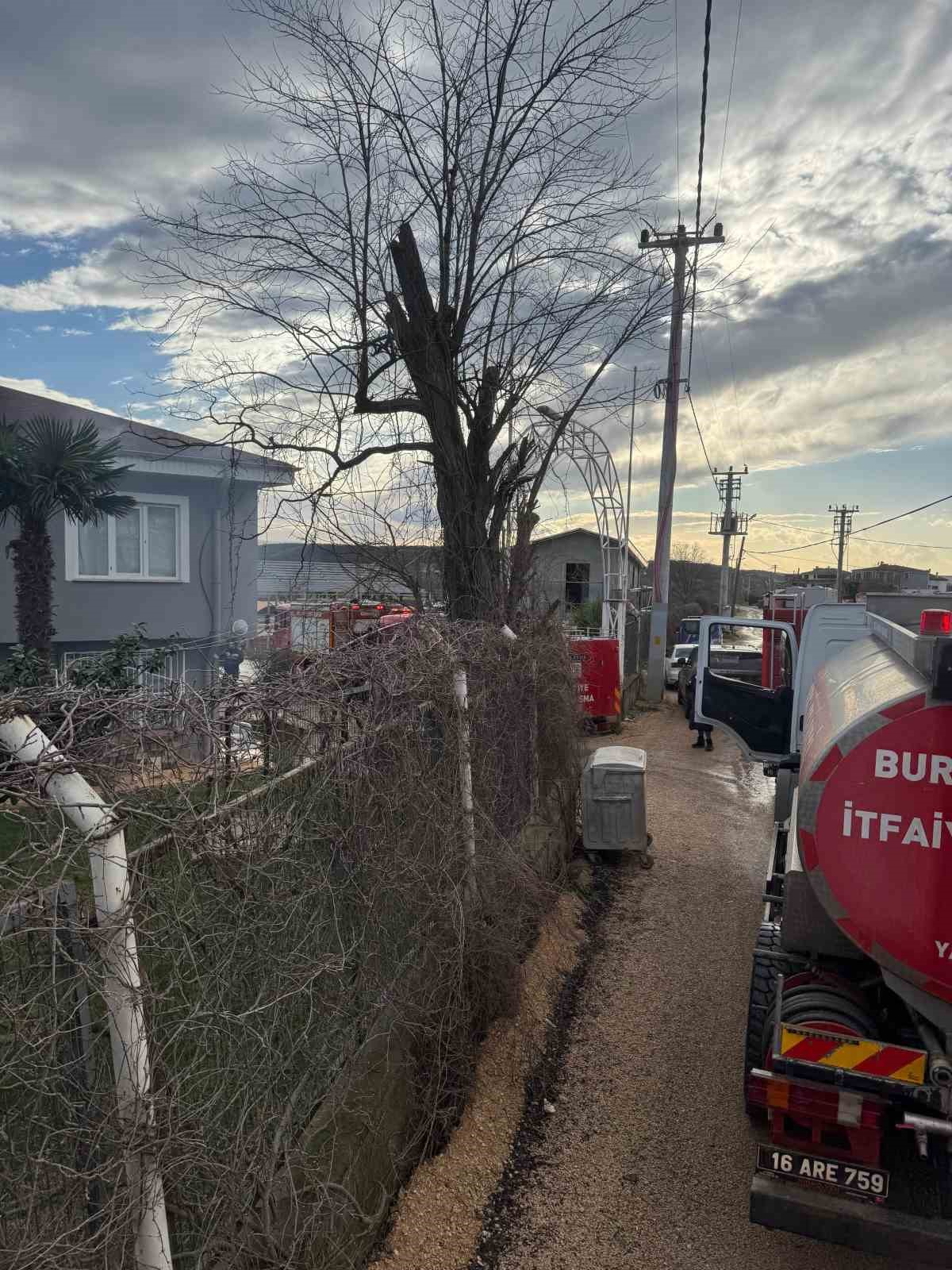 Mudanya’da lodos ve yangın paniği
Mudanya’da lodos ve yangın paniği