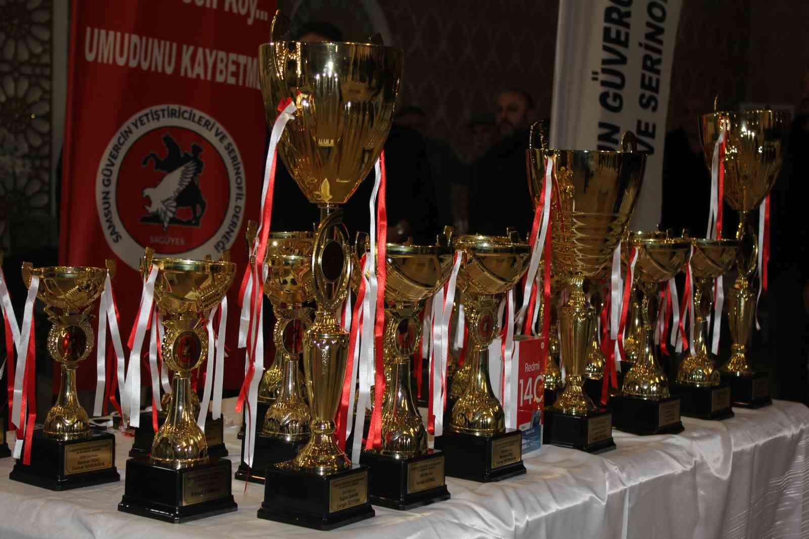 Samsun’da güvercin severler kenetlendi
