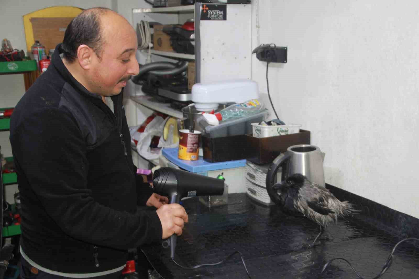 Tamirci çırağı karga
