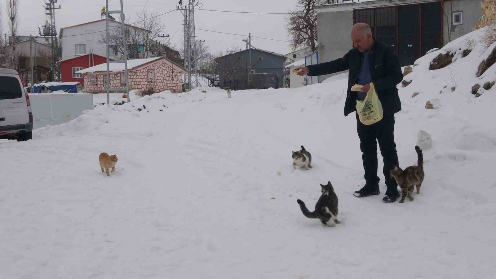 Yaklaşık 2 bin nüfuslu köyde kışın sadece bir aile yaşıyor
