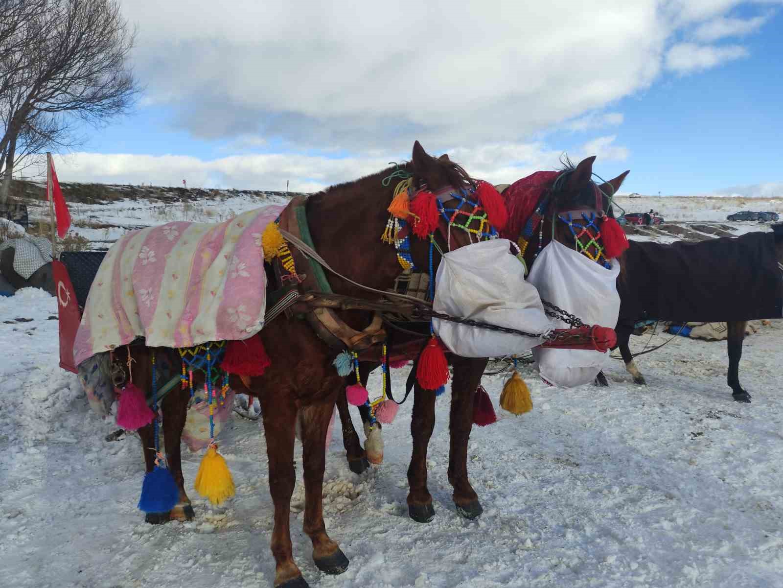 Yüzeyi buz tutan Çıldır Gölü misafirlerini ağırlamaya başladı
