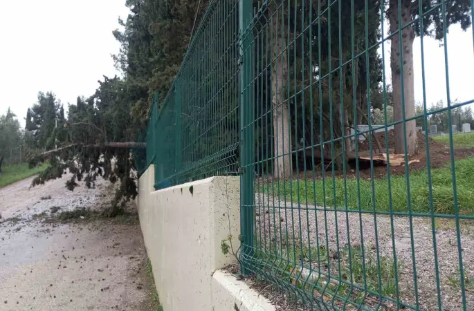 Mudanya’da lodos ve yangın paniği
